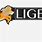 Liger Logo.png