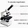 Light Microscope Magnification