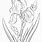 Line Drawing of Iris Flower