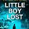 Little Boy Lost Book
