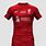 Liverpool 2025 Kit