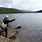 Llyn Padarn Fishing