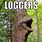 Loggers Meme