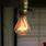 Longest Lasting Incandescent Light Bulbs