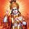 Lord Shri Krishna