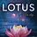 Lotus Book Cover