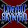 Lynyrd Skynyrd Icon