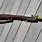 M1 Garand Rifle Grenade