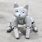 Mars Cat Robot
