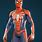 Marvel's Spider-Man Suits