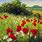 Meadow Landscape Print