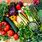 Mediterranean Diet Vegetables