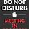 Meeting Do Not Disturb Sign