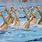 Men's Synchronized Swimming