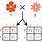 Mendelian Cross