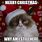 Merry Christmas Grumpy Cat Meme