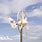 Micro Wind Turbines for Homes