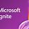 Microsoft Ignite Logo