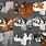 Minecraft Cat Texture Pack