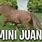Mini Juan Meme
