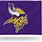 Minnesota Vikings Banner