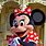 Minnie Mouse Disney World