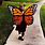 Monarch Butterfly Wings Costume