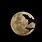 Moon with Bats