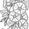 Morning Glory Coloring Page