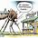 Mosquito Season Comic
