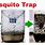 Mosquito Traps Outdoor Homemade