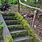 Moss-Covered Stairs