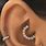 Multiple Earrings