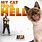 My Cat From Hell Episodes
