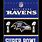 NFL Baltimore Super Bowls Banner