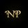 NP Letter Designs