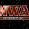 NWA Pro Wrestling Logo