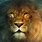 Narnia Lion Wallpaper