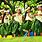 Native Hawaiian Dancers
