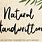 Natural Handwriting Font