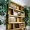 Natural Wood Bookshelf