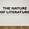 Nature of Literature