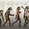 Neanderthal Man Evolution