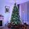 Neon Christmas Tree Lights