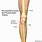 Nerve Pain Behind Knee