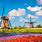Netherlands Windmills and Tulips