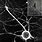 Neuron Electron Microscope