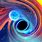 Neutron Star or Black Hole