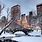 New York City in the Snow