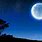 Night Sky with Moon Wallpaper 4K